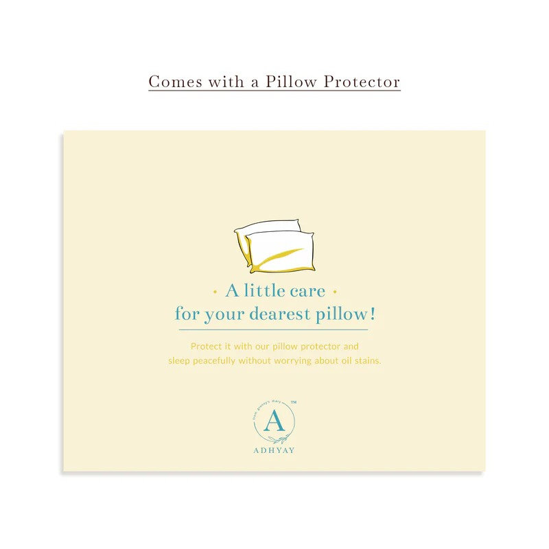 Overnight 6 Week Scalp Therapy Oil : Contains onion oil - Image 5